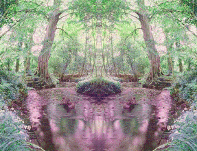 NATURE 3