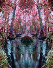 NATURE WATCH